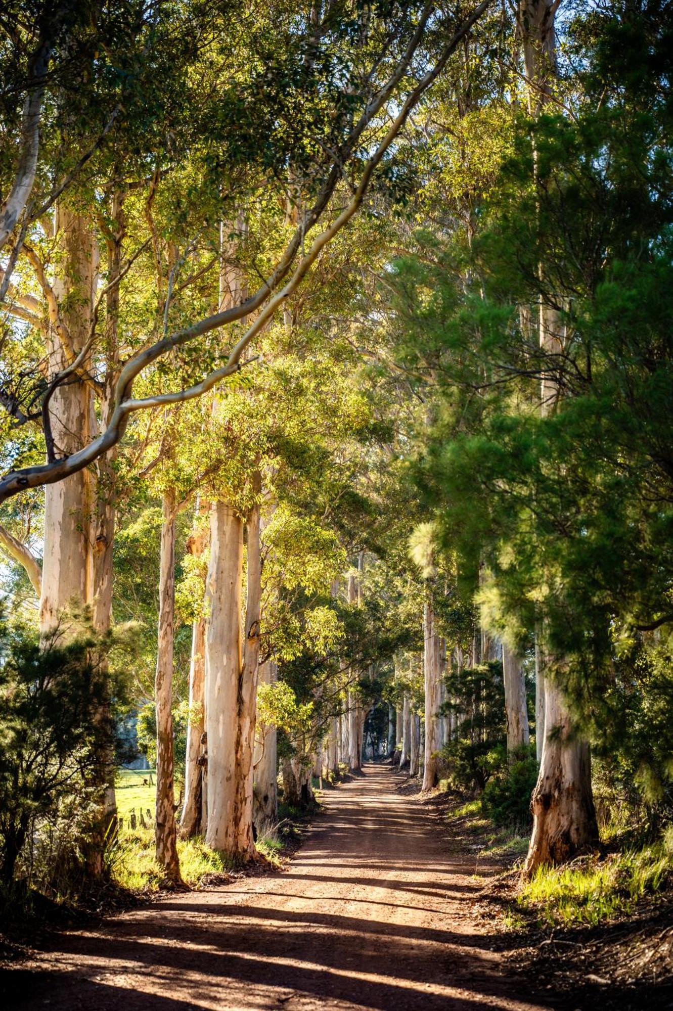 Karrak Reach Forest Retreat Denmark Bagian luar foto